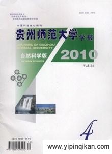杂志封面