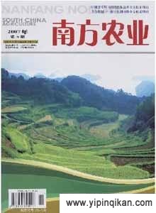 杂志封面