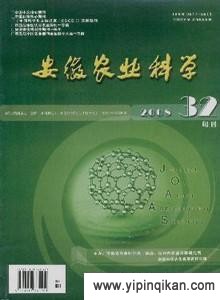 杂志封面