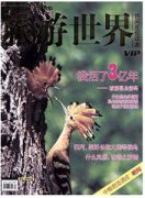 旅游世界杂志
