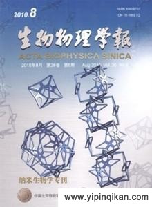 杂志封面