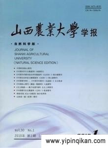 杂志封面