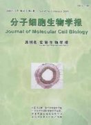分子细胞生物学报.英文版.杂志