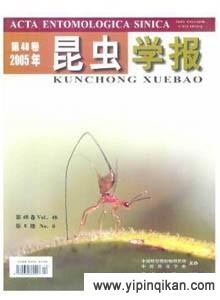 杂志封面