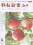 科技致富向导杂志