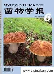 杂志封面