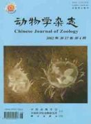 动物学杂志杂志