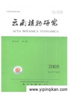 杂志封面