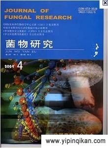 杂志封面