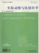 实验动物与比较医学杂志
