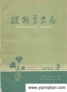 杂志封面