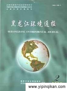 杂志封面