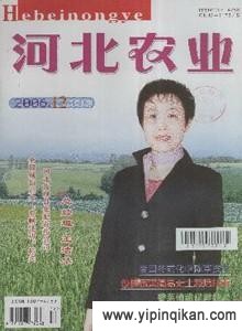 杂志封面