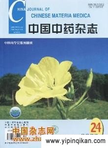 杂志封面