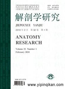 杂志封面
