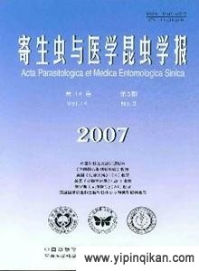 杂志封面