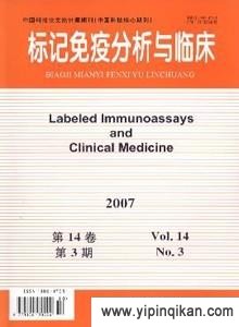 杂志封面