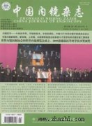 中国内镜杂志杂志