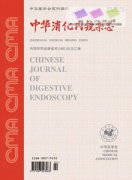 内镜杂志