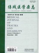 伤残医学杂志杂志