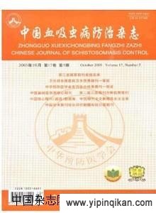 杂志封面