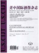 美中国际创伤杂志杂志