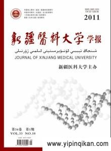 杂志封面