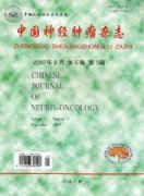 中国神经肿瘤杂志杂志