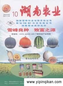杂志封面