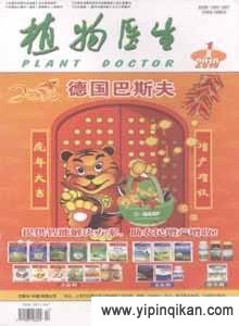 杂志封面