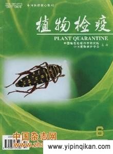 杂志封面