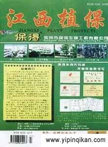 杂志封面