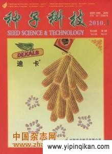 杂志封面