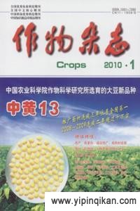杂志封面