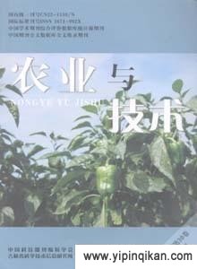 杂志封面