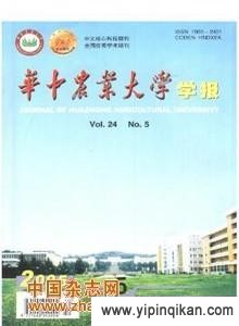 杂志封面