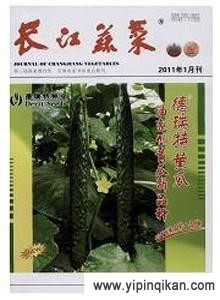 杂志封面