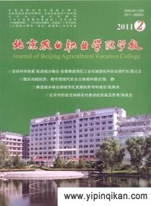 杂志封面