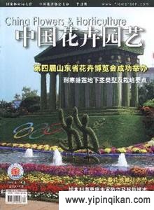 杂志封面