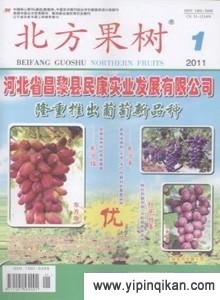 杂志封面