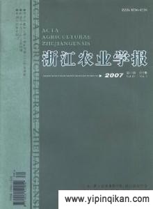 杂志封面