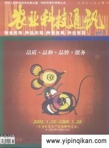 杂志封面