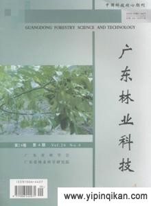 杂志封面