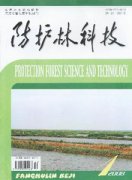 防护林科技杂志