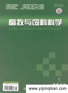 杂志封面