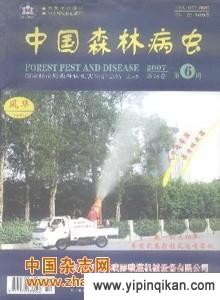 杂志封面