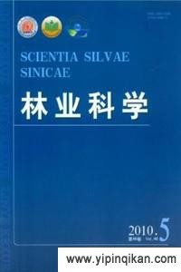 杂志封面