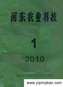 杂志封面