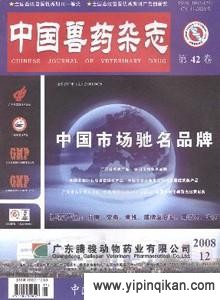杂志封面