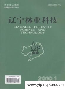 杂志封面